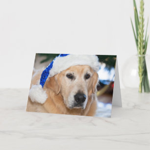 Guld- Retriever med santas hatt i jul Helgkort