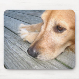 Guld- Retriever Mousepad Musmatta