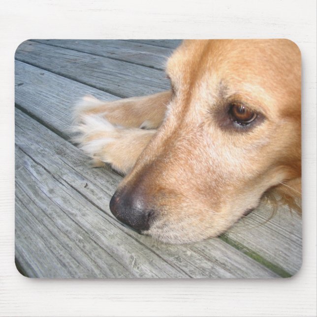 Guld- Retriever Mousepad Musmatta (Framsidan)