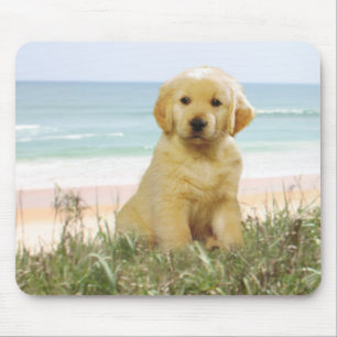 Guld- Retriever Mousepad Musmatta