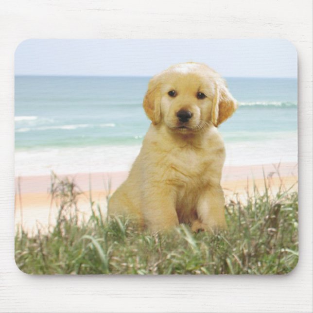 Guld- Retriever Mousepad Musmatta (Framsidan)