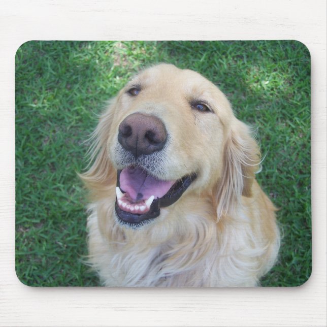 Guld- Retriever Mousepad Musmatta (Framsidan)