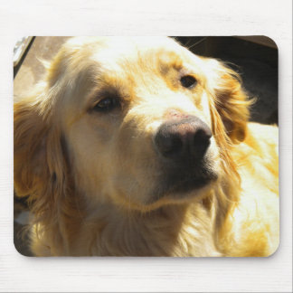 Guld- Retriever Mousepad Musmatta