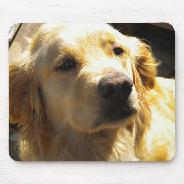 Guld- Retriever Mousepad Musmatta (Framsidan)