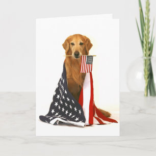 Guld- Retriever och amerikanska flaggan Kort