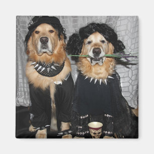 Guld- Retriever på den Goth sidan Magnet