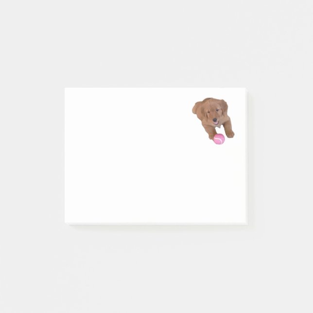 Guld- Retriever Posta-Honom anteckningsbok Post-it Block (Framsida)