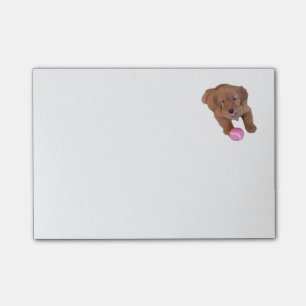 Guld- Retriever Posta-Honom anteckningsbok Post-it Block
