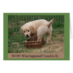 Guld Retriever Puppy GroUp Funny Card Hälsningskort