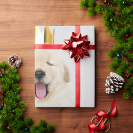 Guld Retriever Puppy Yawy with Krona Presentpapper