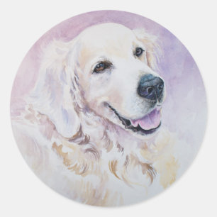 Guld- retriever runt klistermärke