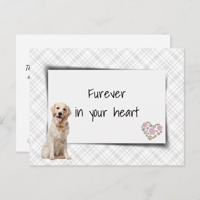 Guld Retriever Sällskapsdjur Sympati Förlust Vykort (Fram/baksida)