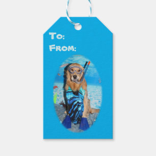 Guld- Retriever Snorkeler Presentetikett