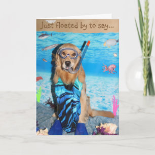 Guld- Retriever Snorkeling Brithday Kort