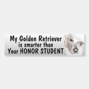 Guld- Retriever - som är mer smart än student - Bildekal