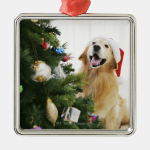 Guld- retriever som klockajulgran julgransprydnad metall