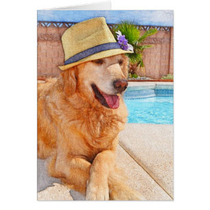 Guld- Retriever - sommarkärlek Hälsningskort