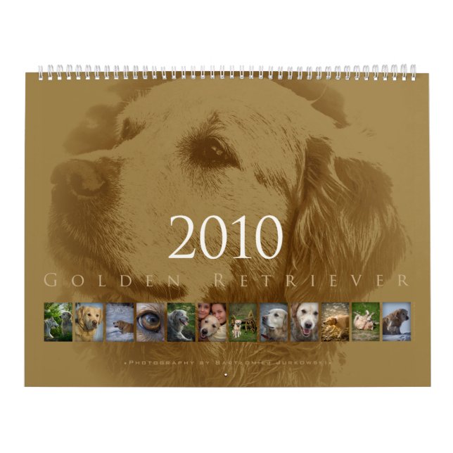 Guld- Retriever - väggkalender 2010 Kalender (Omslag)
