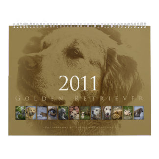 Guld- Retriever - väggkalender 2011 Kalender
