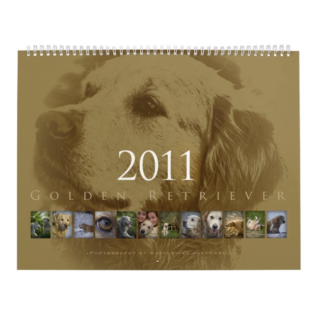 Guld- Retriever - väggkalender 2011 Kalender (Omslag)