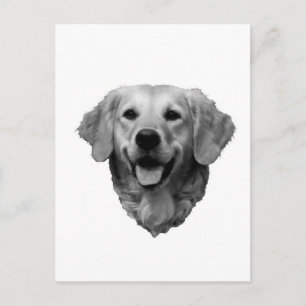Guld- Retriever Vykort