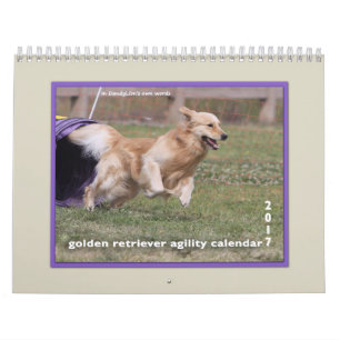 Guld- RetrieverAgility 2017 Kalender