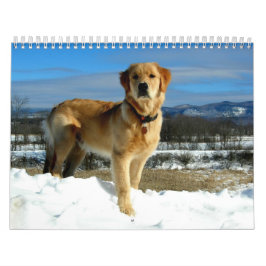 Guld- Retrieverälskarekalender Kalender