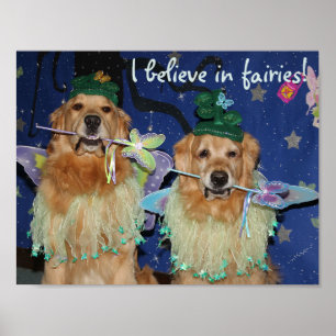 Guld- Retrieverälvor Poster