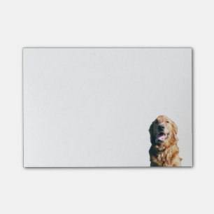 Guld- Retrieveranteckningsbok Post-it Block