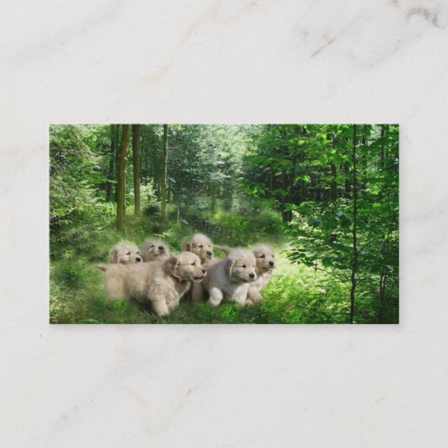 Guld- Retrieveravelsdjurvisitkort Visitkort (Framsida)