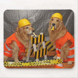 Guld- Retrieverbyggnadsarbetarear Musmatta