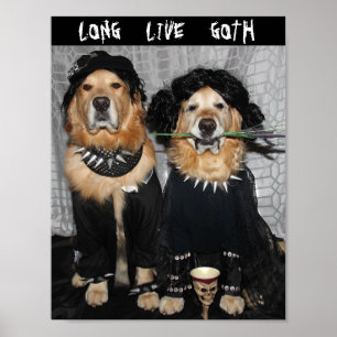 Guld- RetrieverGoth stil Poster