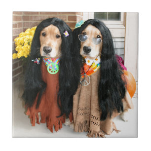 Guld- RetrieverHalloween Hippie Kakelplatta