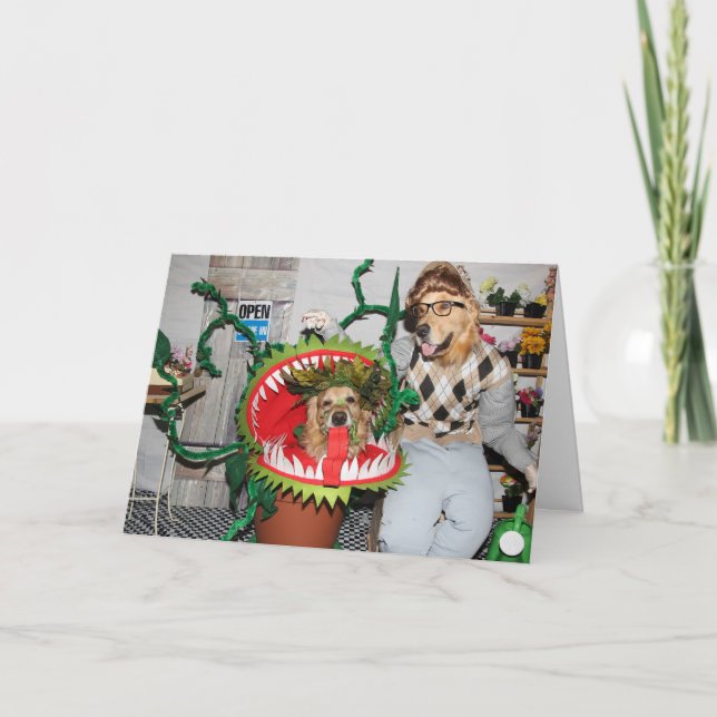 Guld- RetrieverHalloween man som äter växten Kort (Framsida)