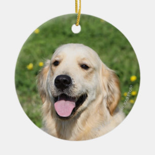 Guld- RetrieverHeadshot 1 Julgransprydnad Keramik