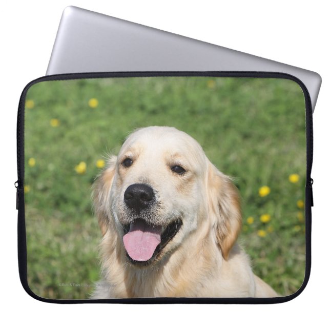 Guld- RetrieverHeadshot 1 Laptop Sleeve (Framsidan)