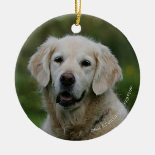 Guld- RetrieverHeadshot 2 Julgransprydnad Keramik