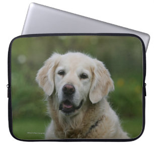Guld- RetrieverHeadshot 2 Laptop Sleeve