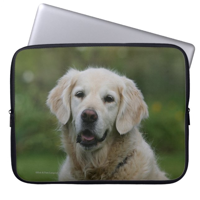 Guld- RetrieverHeadshot 2 Laptop Sleeve (Framsidan)