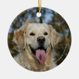 Guld- RetrieverHeadshot 3 Julgransprydnad Keramik