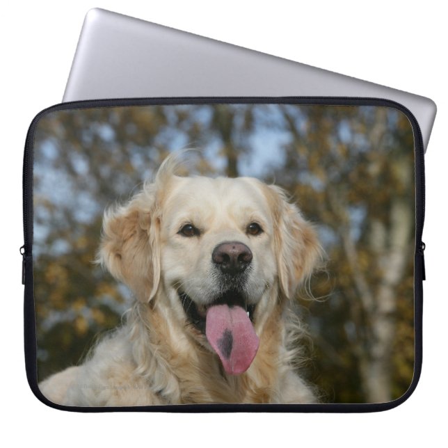 Guld- RetrieverHeadshot 3 Laptop Sleeve (Framsidan)