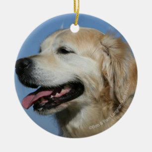 Guld- RetrieverHeadshot 4 Julgransprydnad Keramik