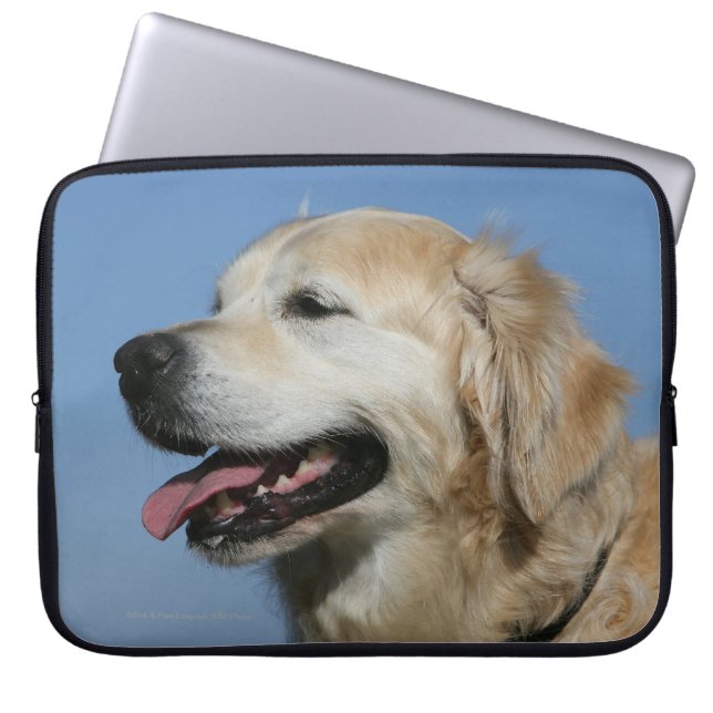 Guld- RetrieverHeadshot 4 Laptop Sleeve (Framsidan)