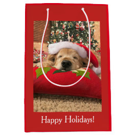 Guld- Retrieverhund för jul sovande under träd