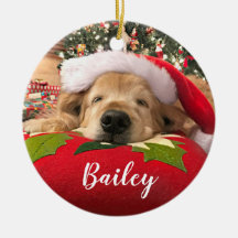 Guld- Retrieverhund för jul sovande under träd