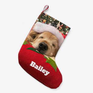 Guld- Retrieverhund för jul sovande under träd Liten Julstrumpa