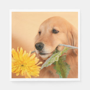 Guld- Retrieverhund för tillfällen med blomman Pappersservett