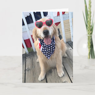 Guld- Retrieverhund i independence Kort