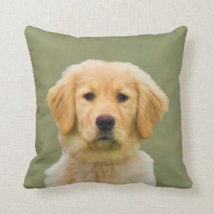 Guld- Retrieverhund Kudde