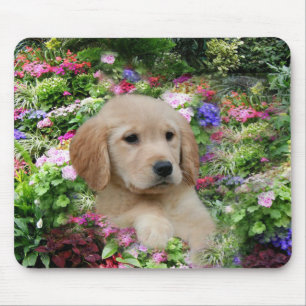 Guld- RetrieverMousepad blomsterträdgård Musmatta